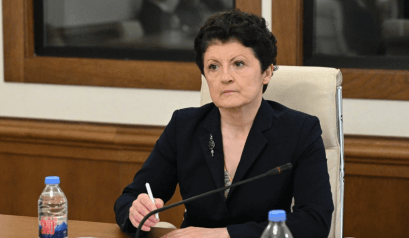 თეა წულუკიანი - დესტრუქციული ოპოზიციის და მათი მხარდამჭერების მცირე ჯგუფი ვერ მოახერხებს არეულობას 