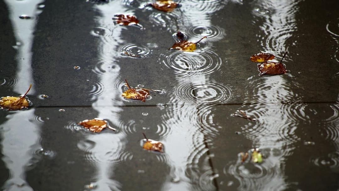 18-20 სექტემბერს მოსალოდნელი ამინდი საქართველოში