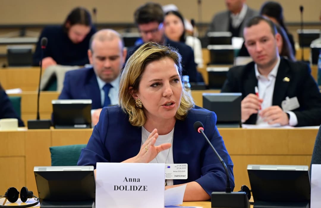 ანა დოლიძე - სავარაუდოდ, ხარკის ჩატანას გახარიასაც სთხოვენ