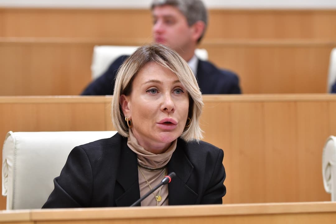 ნინო წილოსანი - მოძალადე ჯგუფებში გამოვყოფთ ქალებს, რომლებიც ყველაზე ომახიანად აგინებდნენ ჩვენს მხარდამჭერებს და ყველაზე უმსგავსოდ იქცეოდნენ