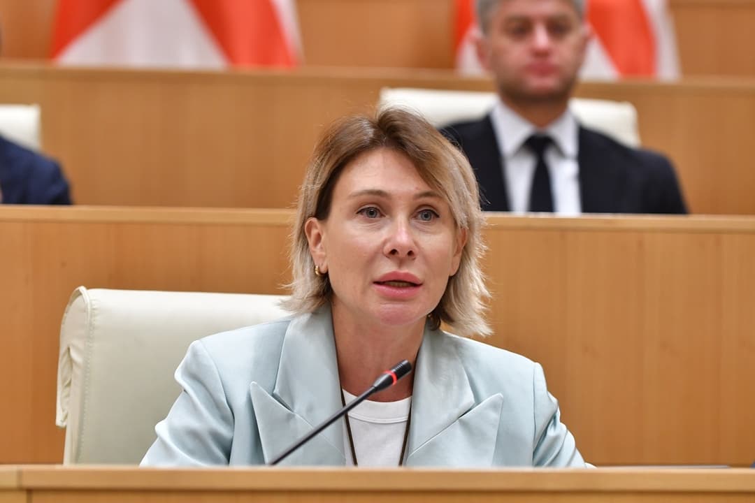 ნინო წილოსანი - გიორგი ბაჩიაშვილი ბრალდებულია ბიტკოინების მითვისების საქმეში და ამის პარალელურად ის და მისი ოჯახი ძალისხმევას არ აკლებს, რომ ბიძინა ივანიშვილის დისკრედიტაცია მოხდეს   