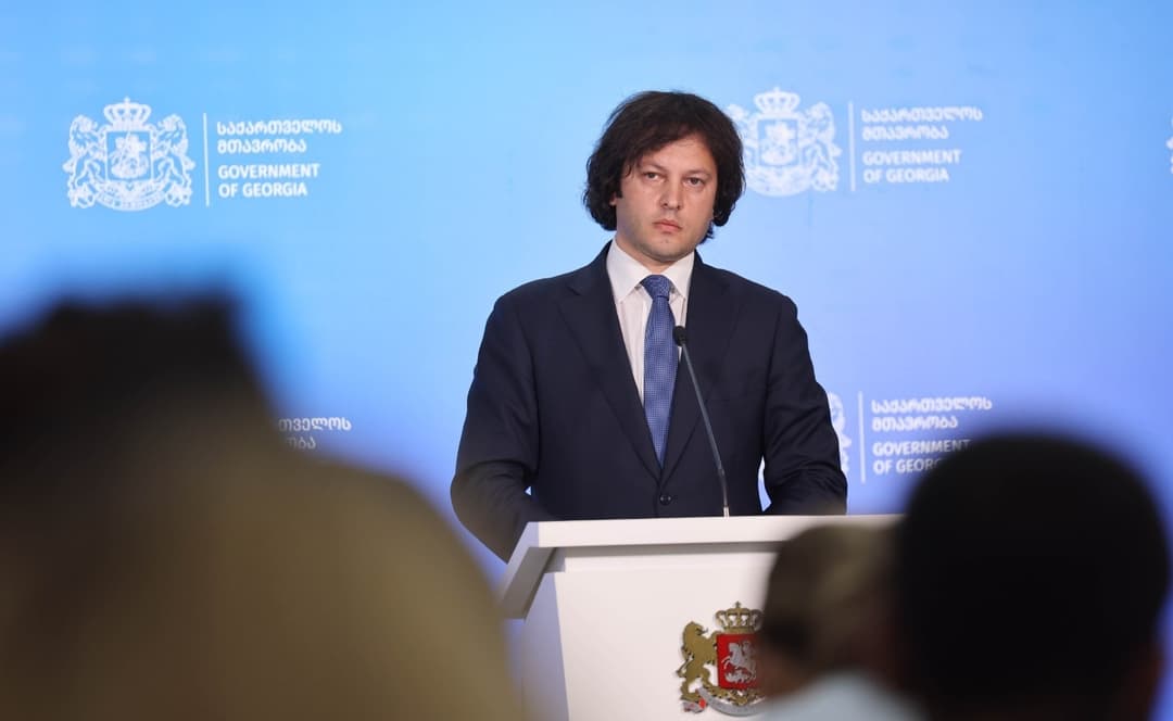 Georgian PM: NGOs attempted to drive revolutionary processes with foreign funding