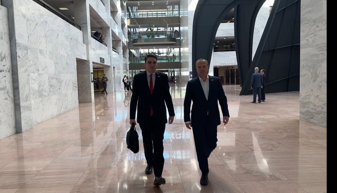 ლევან სანიკიძე - ვაშინგტონში ჩვენი შეხვედრები ადასტურებს, რომ სამხრეთ კავკასიაზე ინტერესი გაიზარდა