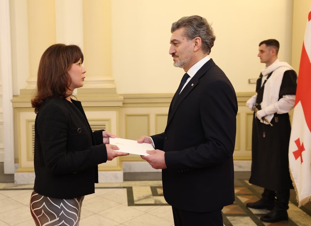 მიხეილ ყაველაშვილს 16 ქვეყნის რეზიდენტმა და არარეზიდენტმა ელჩებმა რწმუნებათა სიგელები გადასცეს