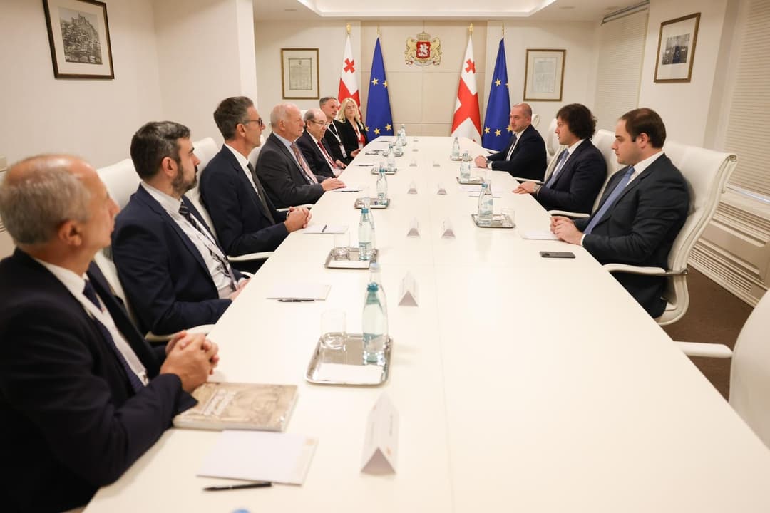 ირაკლი კობახიძე ENQA-ის, EQAR-ის, WFME-ის და ESU-ის წარმომადგენლებს შეხვდა