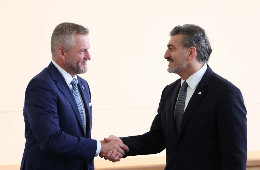 Georgian President meets Slovak counterpart in New York