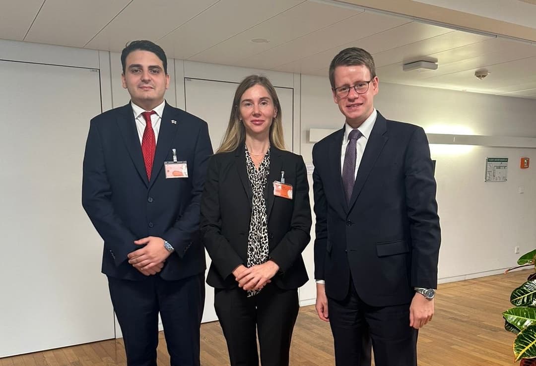 თინა ბოკუჩავა - სწორედ გერმანიამ უნდა აიღოს ინიციატივა მათ შორის იმისთვის, რომ არ მოხდეს საქართველოს მოქალაქეებისთვის უვიზო მიმოსვლის შეჩერება