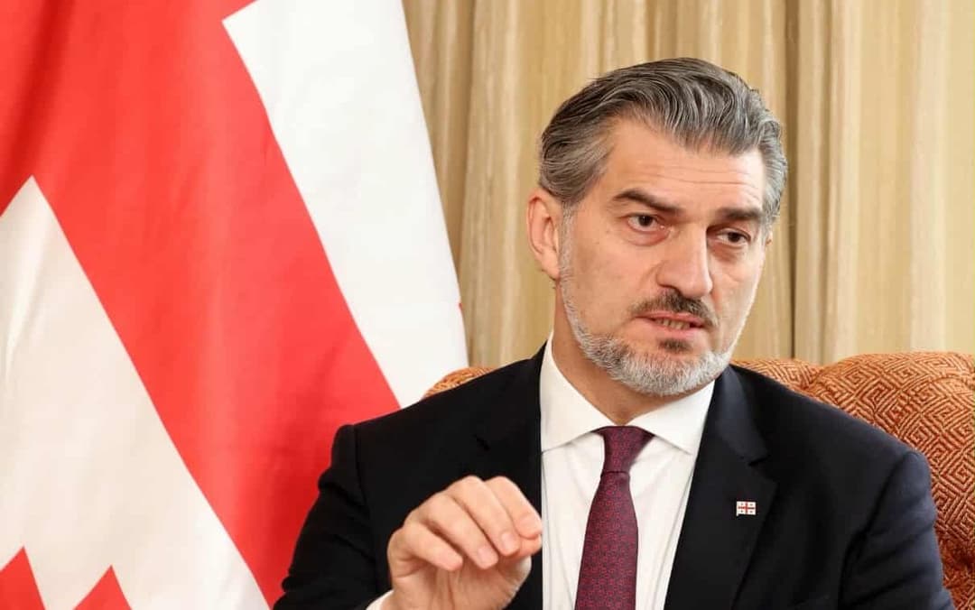 Responsible Statecraft - მიხეილ ყაველაშვილმა შეგვახსენა, რომ ქრისტიანული საქართველო ევროკავშირზე გაცილებით დიდი ხანია, არსებობს და დარწმუნებულია, რომ ევროკავშირის შემდეგაც კიდევ დიდხანს იარსებებს