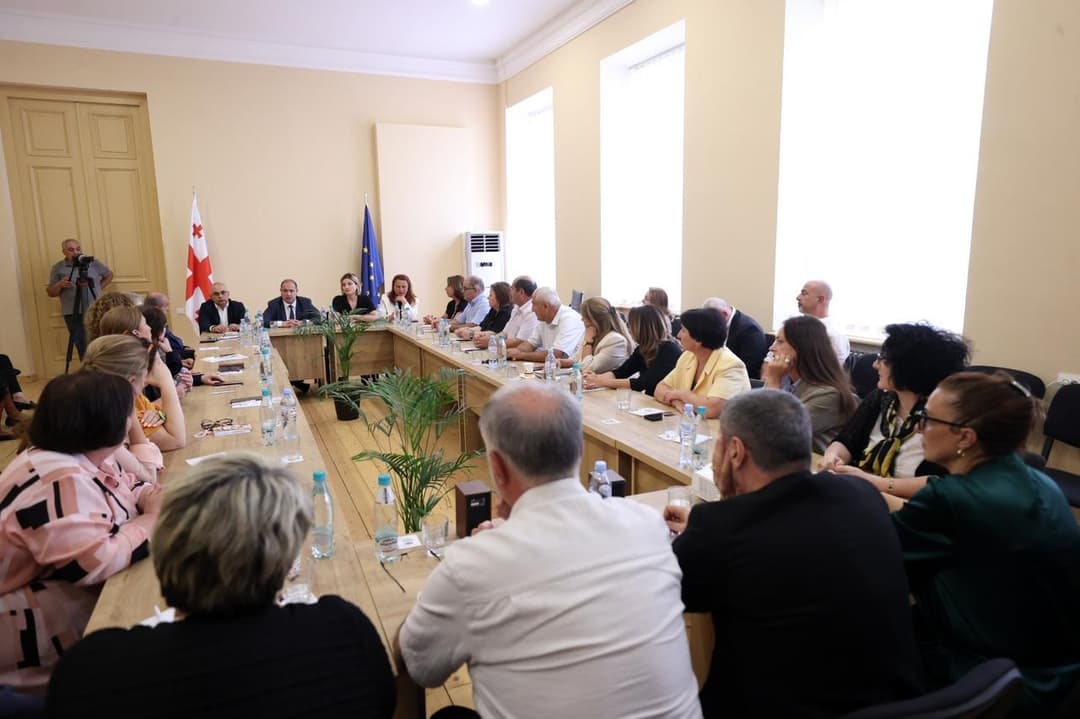 გივი მიქანაძის ხელმძღვანელობით კოლეჯების დირექტორთა საბჭოს პირველი სხდომა გაიმართა