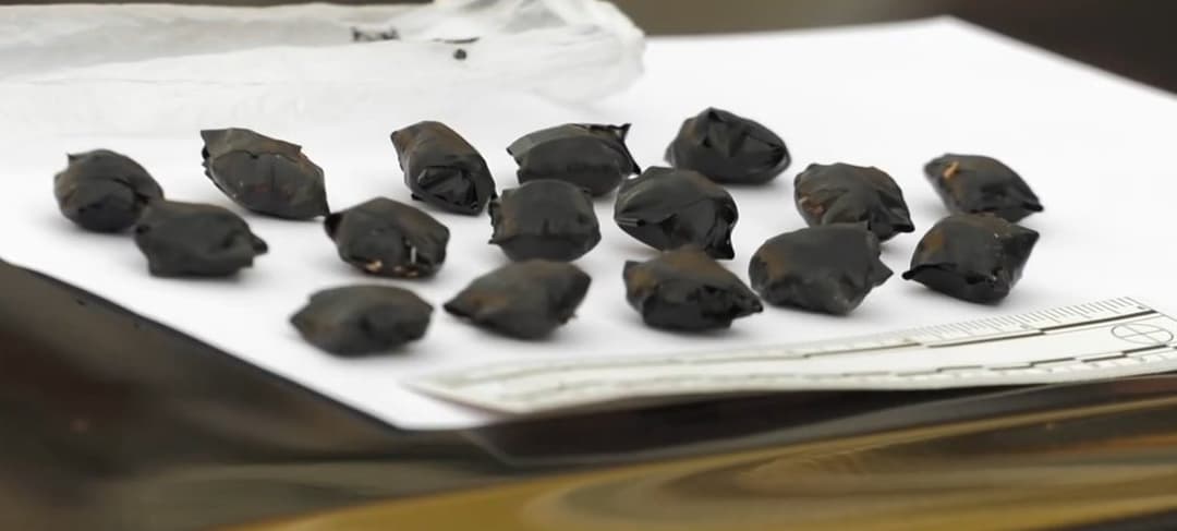 აჭარაში ნარკოდანაშაულის ბრალდებით უცხო ქვეყნის მოქალაქე დააკავეს