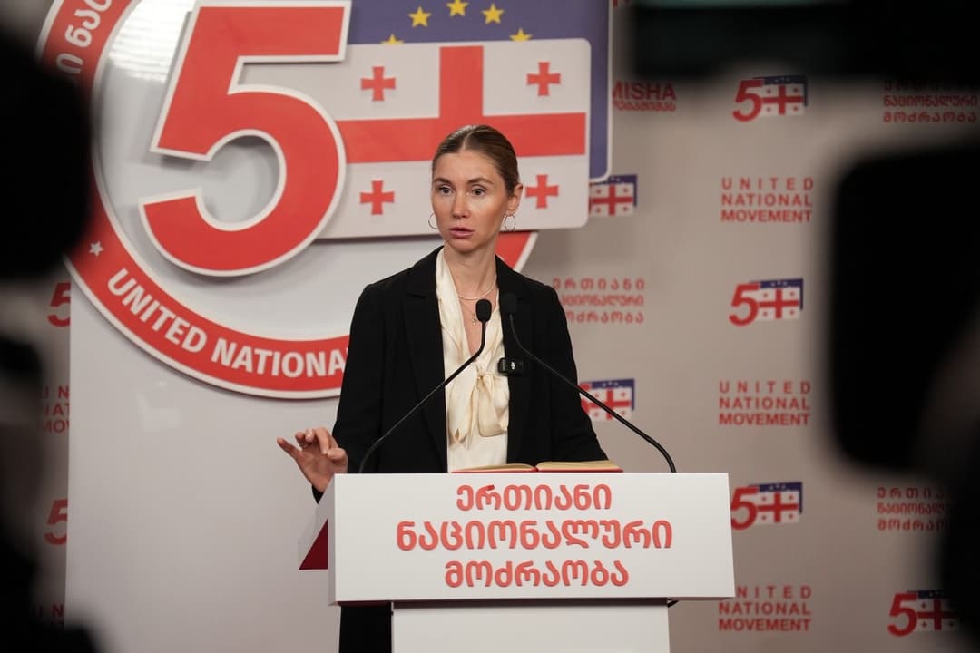 თინა ბოკუჩავა - არ გამოვრიცხავ, ე.წ. საკონსტიტუციო სასამართლოს დაჩქარებული წესით და მოკლე ვადებში მიმართონ "ნაციონალური მოძრაობის" გაუქმების მოთხოვნით