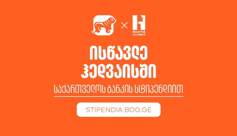 გახდი "საქართველოს ბანკის" სტიპენდიატი ჰედვაის აკადემიაში - დაეუფლე ახალ პროფესიას სრული დაფინანსებით