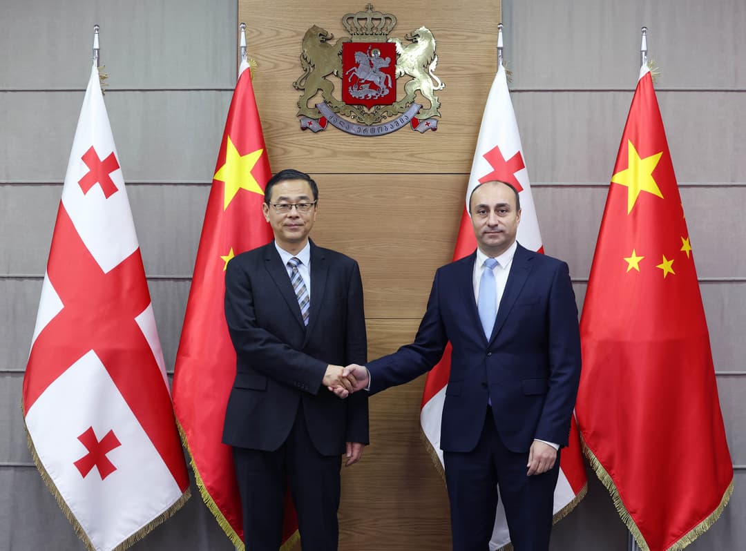 გეკა გელაძე ჩინეთის ელჩს შეხვდა