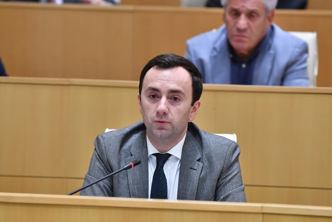 ლევან მახაშვილი - თუ არსებული სიტუაცია მათი პოლიტიკური დასასრული არ არის, დიდი პრობლემების წინაშე დადგნენ