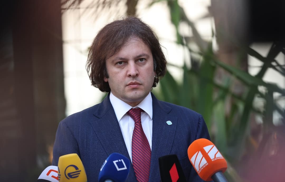 Georgian PM: around 7,000 people attended overthrow rally consciously