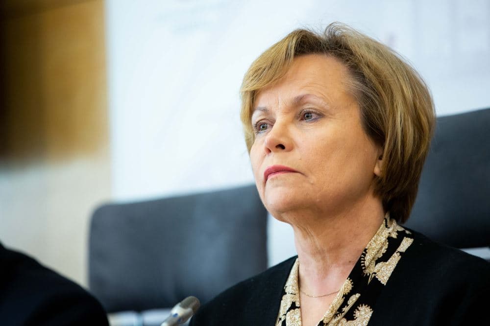 Juknevičienė: no one wants to punish Georgian people, but visa-free travel has very specific criteria