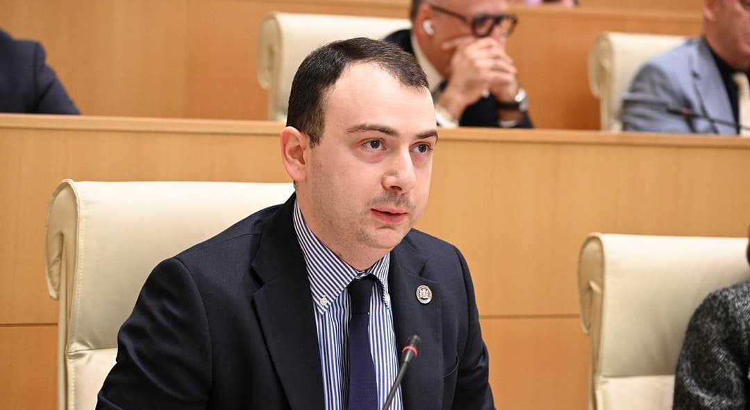 Georgian ruling party MP slams OSCE Chair Valtonen’s visit to protest site