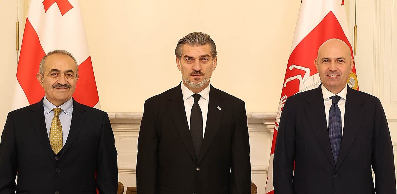 President Kavelashvili congratulated the diplomats on their appointments 