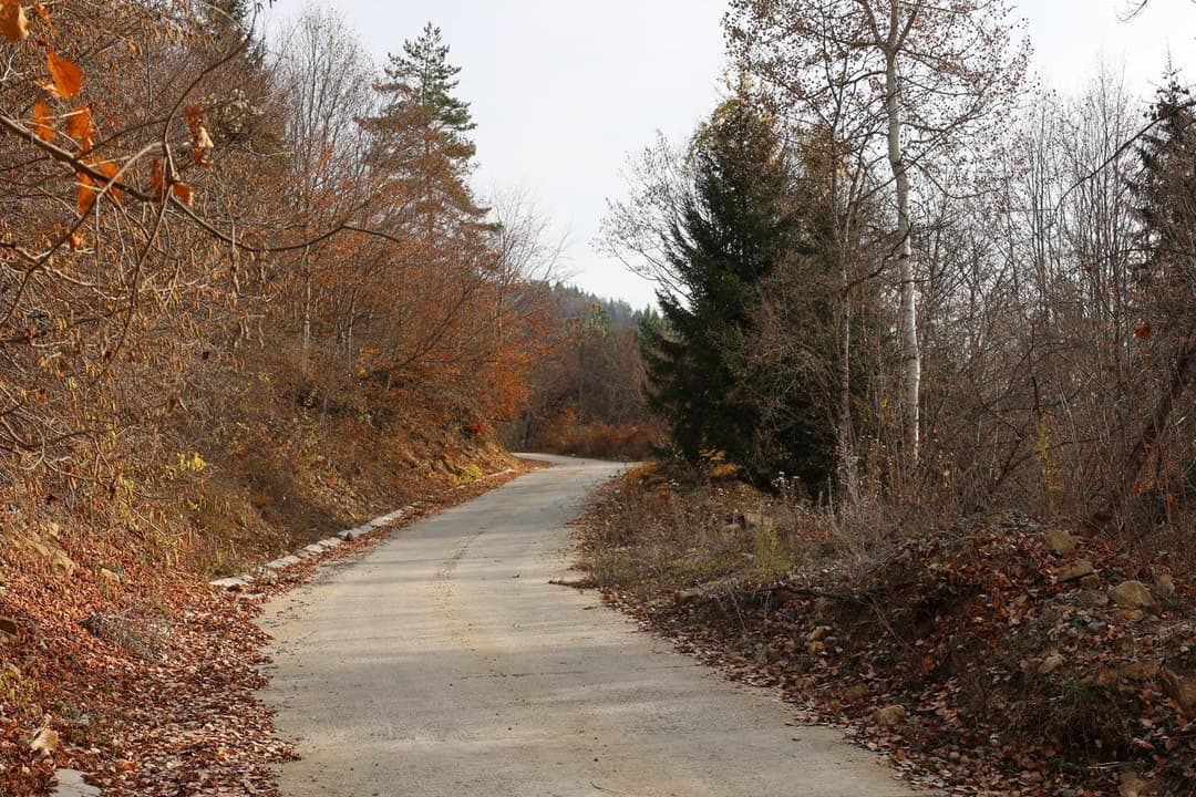 სოფელ ყვიბისში მამათა მონასტერთან მისასვლელი გზის რეაბილიტაციის მეორე ეტაპი დასრულდა