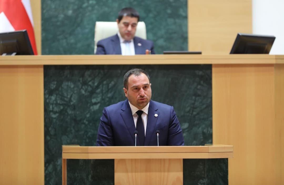 ირაკლი კირცხალია - საზოგადოებამ საკანონმდებლო ორგანოდან ამომწურავი პასუხები მოისმინა ყველა იმ კითხვაზე, რაც ჰქონდა