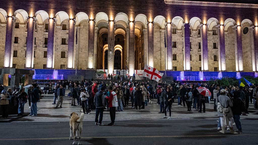 შსს - ბოლო 5 დღის განმავლობაში აქციის 29 მონაწილეა დაკავებული