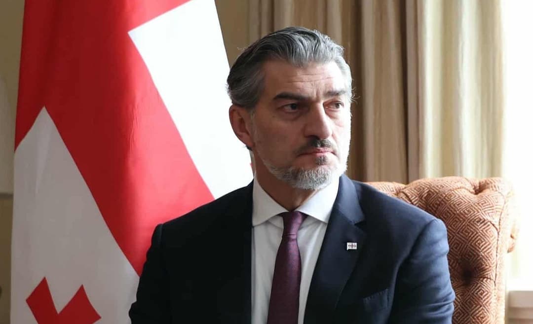 მიხეილ ყაველაშვილი დიპლომატებს ქართული დიპლომატიის დღეს ულოცავს