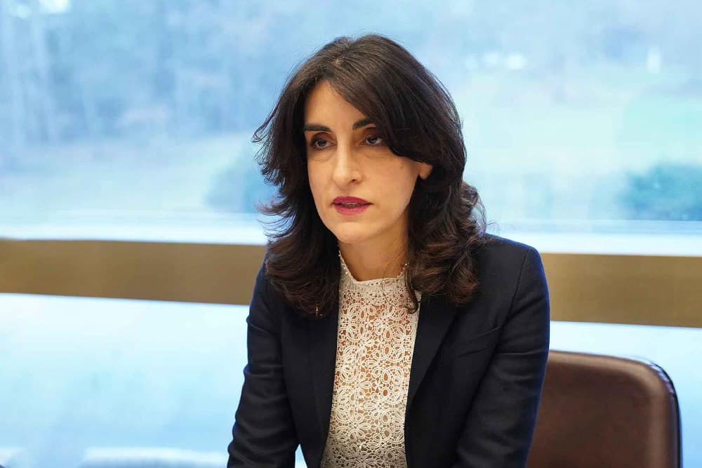 Georgian FM: meeting between prime ministers will be important opportunity to discuss cooperation with China in ‘all areas’