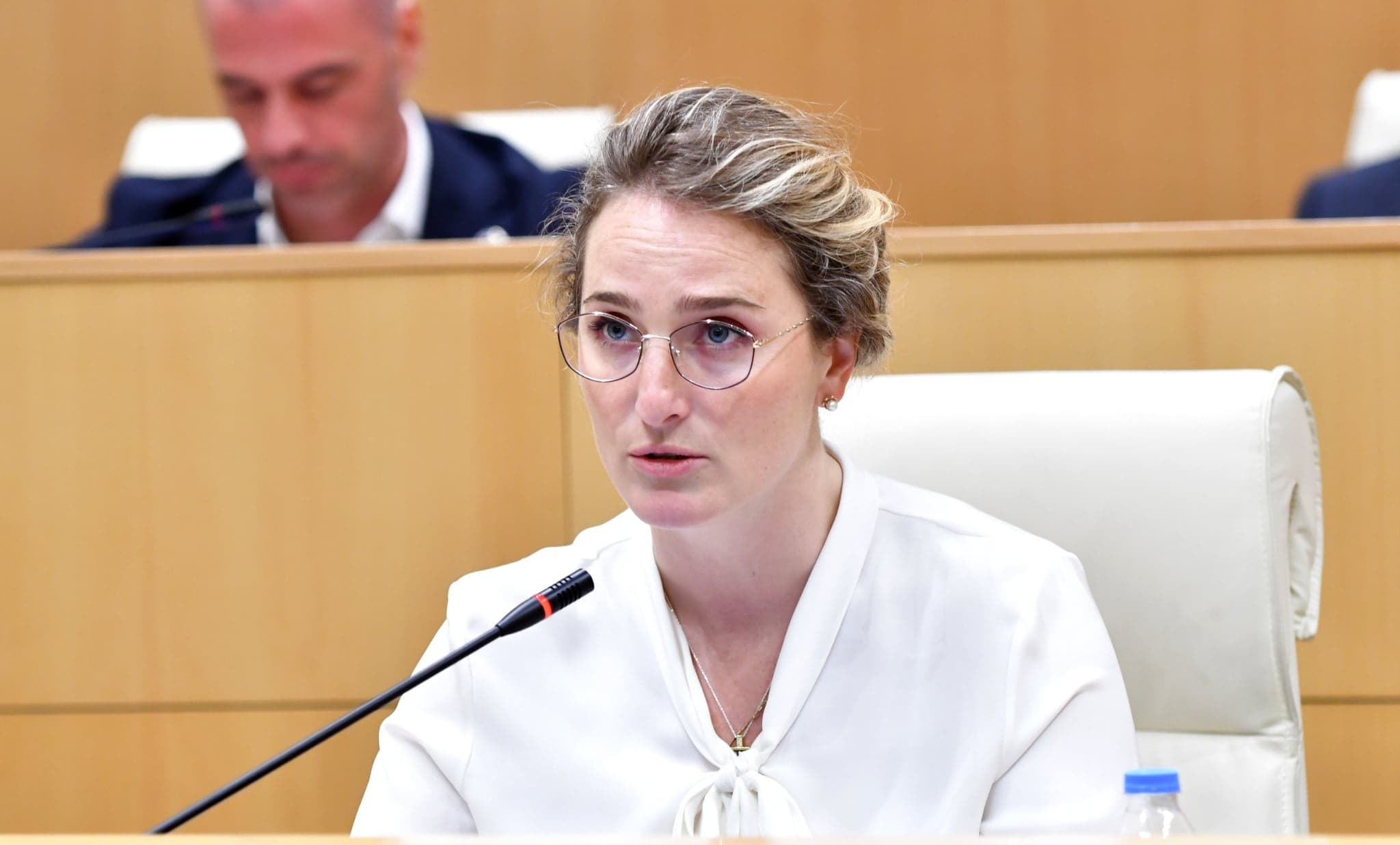 “This was not about the slap [of a police official] itself - not about pain or redness - but about the attitude toward an institution,” Lashkhi said