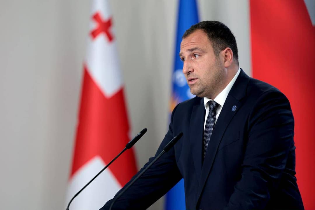 Ruling party leader Kirtskhalia: visa liberalisation is ‘last bullet’ opponents can fire, but it lacks basis