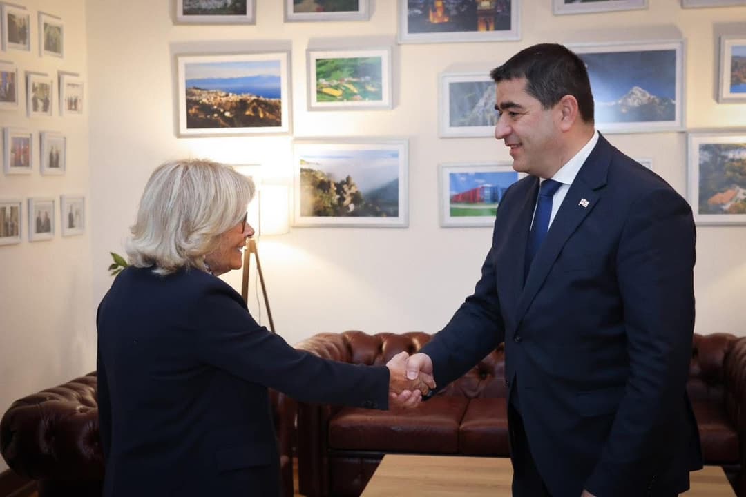Georgian Parliament Speaker meets PACE Monitoring Committee rapporteurs