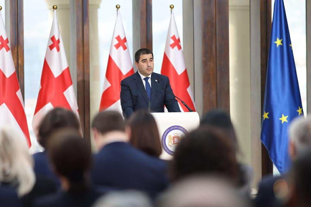 Diplomacy has become first line of defence for state, Parliament Speaker Papuashvili 