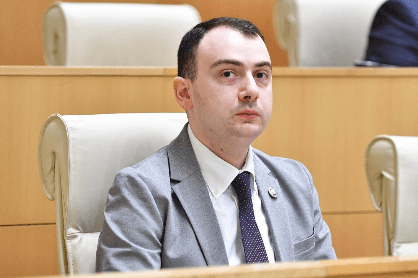 Georgia’s EU integration was already ‘de facto suspended’, ruling party MP