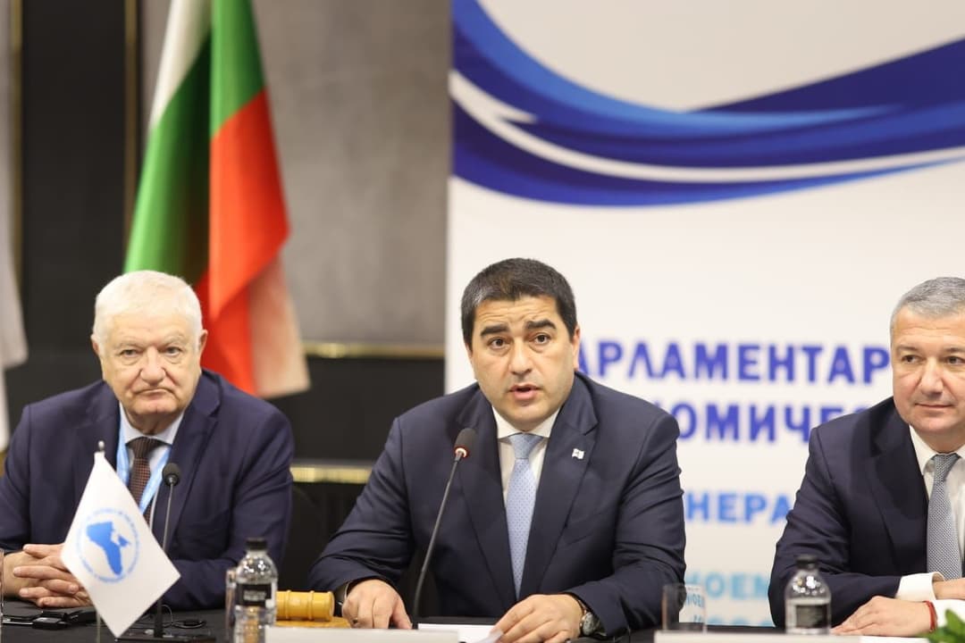 Parliament Speaker Papuashvili addresses 66th PABSEC General Assembly, highlights peace and connectivity in Black Sea region