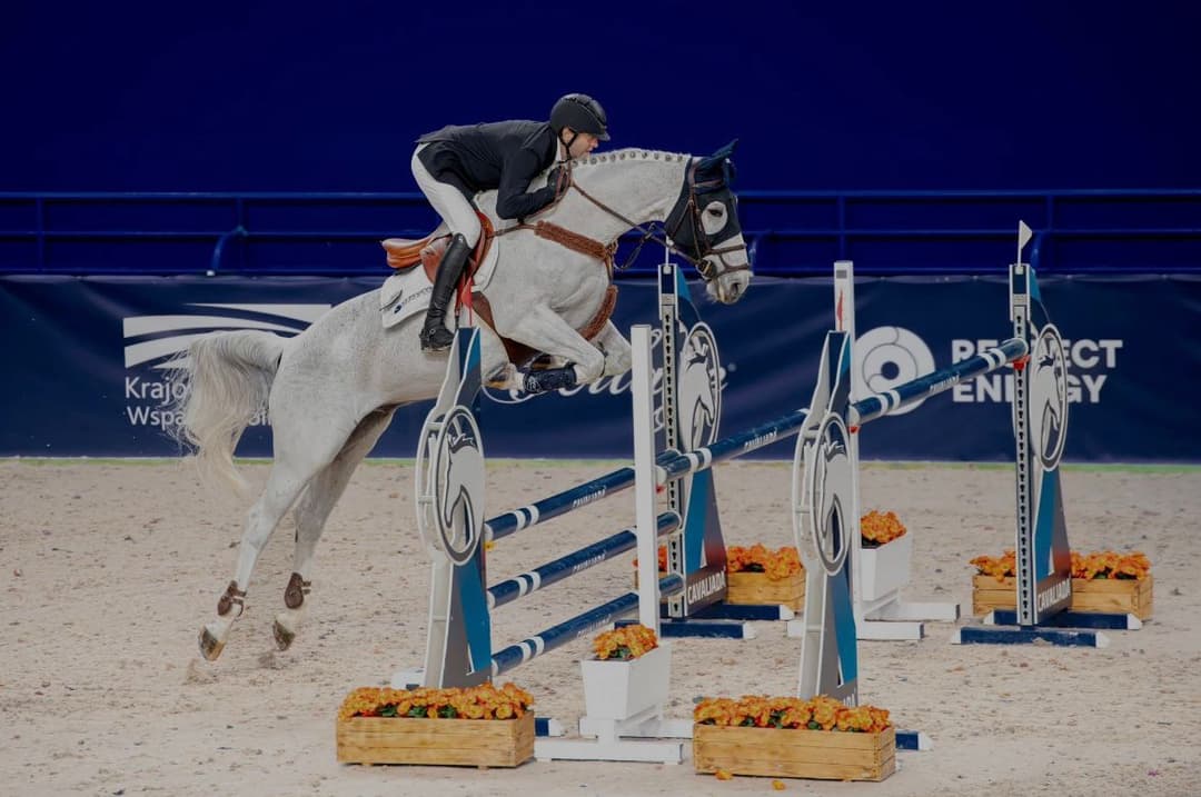 ქართველი მხედარი ზედიზედ მეორედ მსოფლიოს თასის ფინალში იასპარეზებს