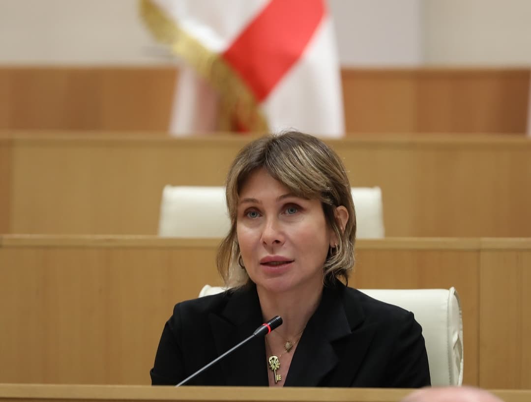 ნინო წილოსანი - ჩვენი ოპონენტები ყოველდღიურ რეჟიმში ცდილობენ ქვეყნის ეკონომიკა ჩამოშალონ