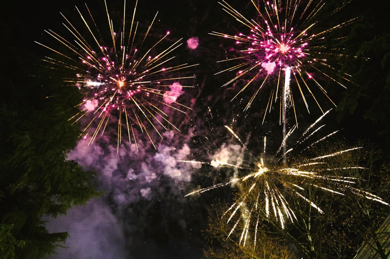 <p style="text-align: justify">ზუგდიდის მთავარი ნაძვის ხე საზეიმოდ აინთო. ქალაქის ცენტრალურ გამზირზე, მთავარი ნაძვის ხის ანთების ღონისძიებაში ზუგდიდის ანსამბლებმა და შემოქმედებითმა ჯგუფებმა მიიღეს მონაწილეობა.</p><p style="text-align: justify">ღონისძიებას სამეგრელო-ზემო სვანეთის სახელმწიფო რწმუნებული დავით ვერავა, ზუგდიდის მერი დავით კოდუა, პარლამენტის წევრი, ზუგდიდის დელეგატი ედიშერ თოლორაია და თვითმმართველობის წარმომადგენლები დაესწრნენ.</p><p style="text-align: justify">„მიმდინარე წელი თითოეული ჩვენგანისთვის განსხვავებული გამოწვევების წელი იყო, მაგრამ ზუგდიდმა კიდევ ერთხელ დაამტკიცა, რომ ერთიანობით, ურთიერთდახმარებით და სიყვარულით შეუძლია გამარჯვება და წინსვლა. მადლობა თითოეულ მოქალაქეს, ვინც თავისი წვლილი შეიტანა ჩვენი ქალაქის განვითარებაში - მადლობა ჩემს ზუგდიდელებს შრომისა და გულწრფელი დამოკიდებულებისთვის.</p><p style="text-align: justify">გილოცავთ დამდეგ შობა ახალ წელს - მინდა, ეს წელი იყოს მშვიდობის, ჯანმრთელობის, წარმატების და ბედნიერების წელი თითოეული ოჯახისთვის. წარმატებები, მშვიდობა და მეტი განვითარება ჩვენს ქალაქს“ - განაცხადა ზუგდიდის მერმა დავით კოდუამ.</p><p style="text-align: justify">საზეიმო ღონისძიებაში მოსწავლე ახალგაზრდობის სასახლის მუსიკალურ-თეატრალური სტუდია "რიბი რაბო,“ სტუდია ,,რეტრო,“ სახელოვნებო სკოლების გაერთიანების საგუნდო-სამუსიკო სკოლის აკადემიური გუნდი, ხელოვნებისა და კულტურის განვითარების ცენტრის ბენდი "ბოლო ოთახი” და კვარტეტი "აკორდი” მონაწილეობდა.&nbsp;</p><p style="text-align: justify">ზუგდიდში შემდეგი საახალწლო კონცერტი 31 დეკემბერს, ახალი წლის ღამეს კულტურის სამინისტროსა და „შემოქმედებითი საქართველოს“ მხარდაჭერით გაიმართება, სადაც ზუგდიდელების წინაშე ნუცა ბუზალაძე წარდგება.</p>