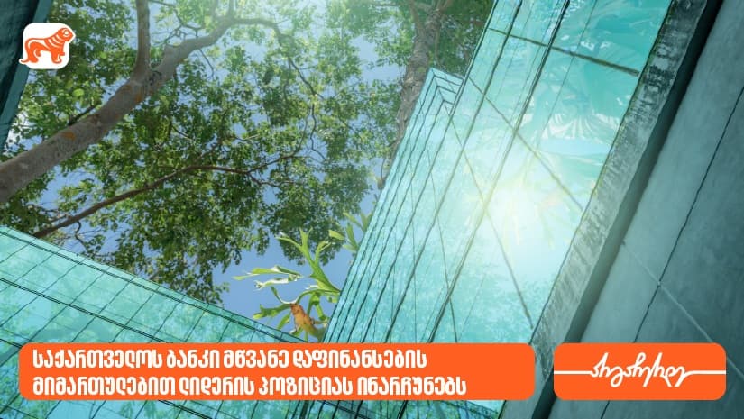 ეროვნული ბანკი: "საქართველოს ბანკი" მწვანე დაფინანსების მიმართულებით ლიდერის პოზიციას ინარჩუნებს