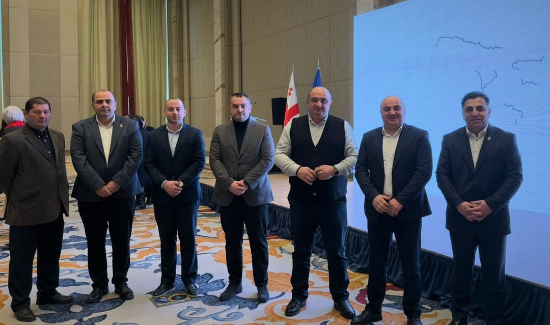 ბოლნისის მუნიციპალიტეტის საკრებულოს თავმჯდომარე გიორგი სვანიძე  ეროვნულ ასამბლეაში მონაწილეობდა