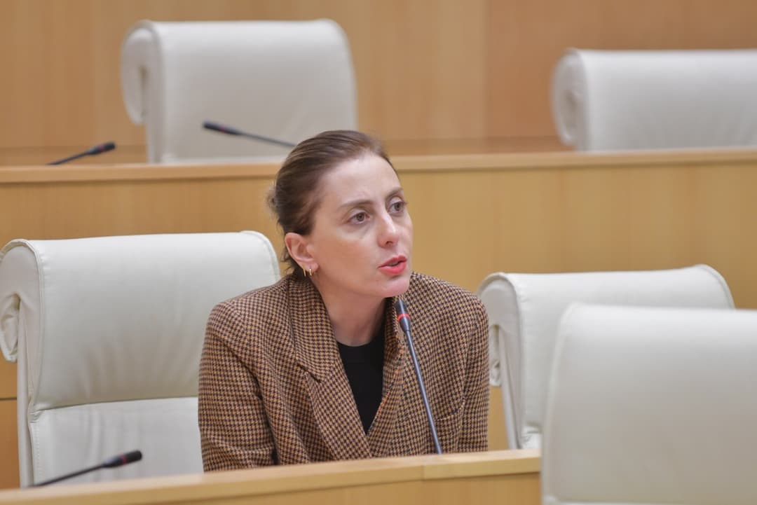 Opposition leader: Georgia Excluded from regional peace alliance due to Ivanishvili