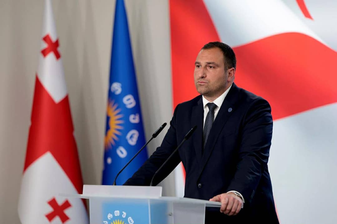 Ruling party leader Kirtskhalia: ALDE’s attitude toward Georgia is clear once again