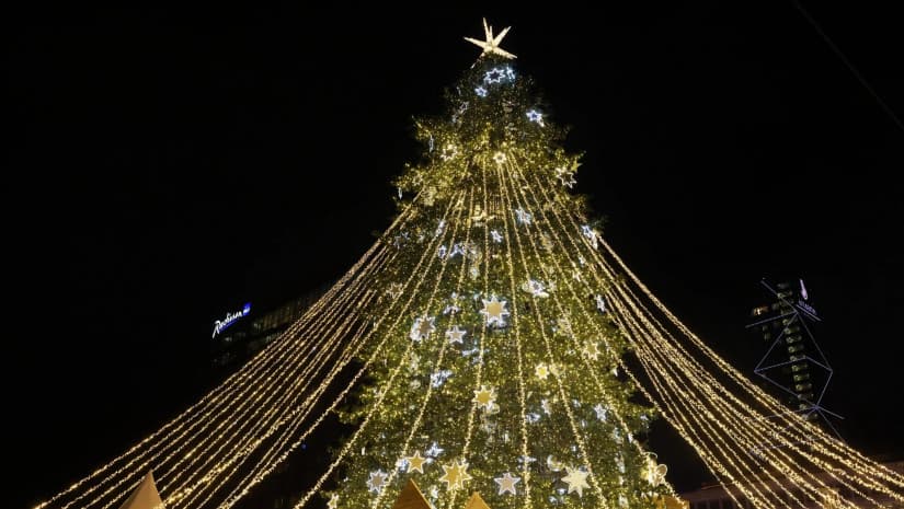 Georgian capital switches on Christmas tree and citywide festive lights