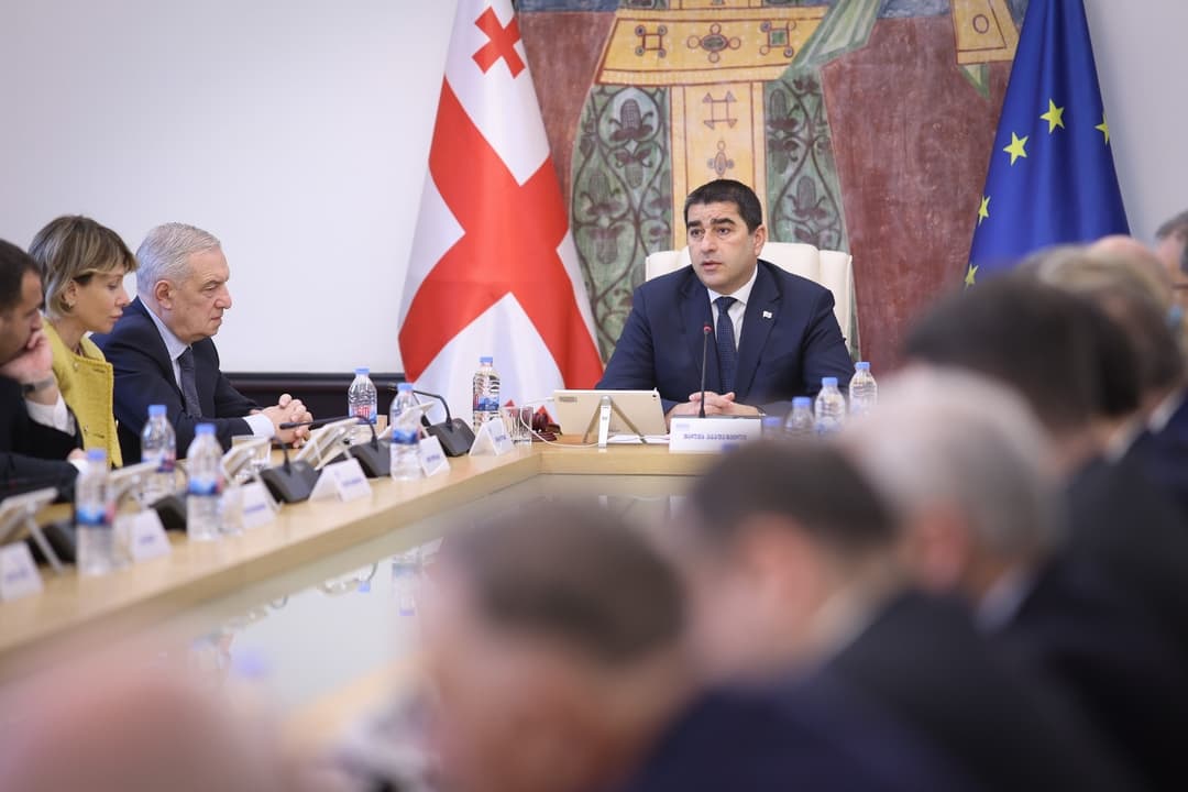 Georgian Parliament Speaker highlights legislative reforms, ‘economic growth’, ‘democratic safeguards’
