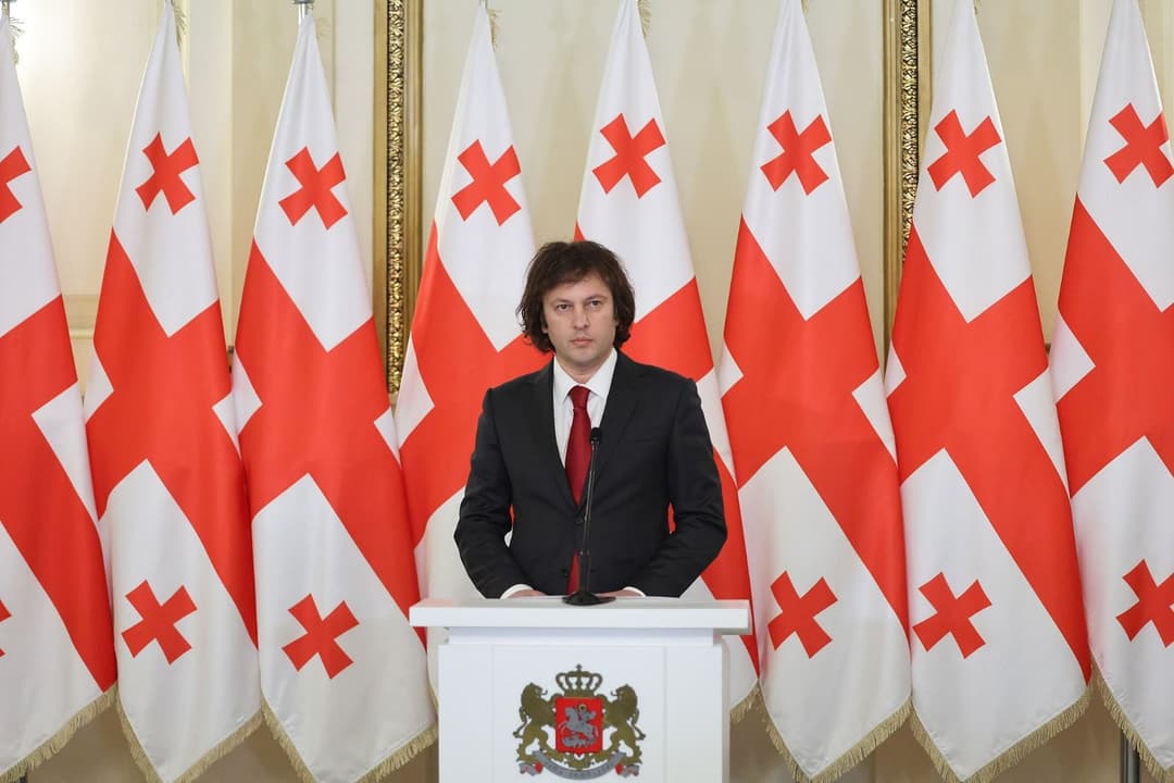 Georgian PM: building modern, strong Georgian army means building peace