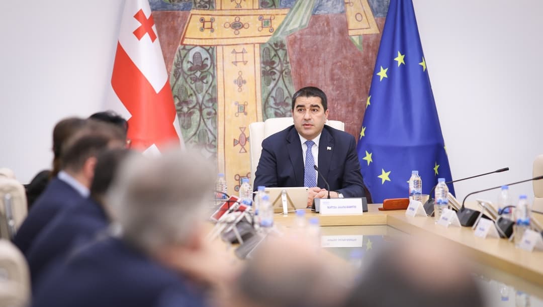 შალვა პაპუაშვილი - გამოძიება იყო გამჭვირვალე და ხელისუფლება ახლაც ღიაა ითანამშრომლოს რელევანტურ საერთაშორისო ინსტიტუტებთან