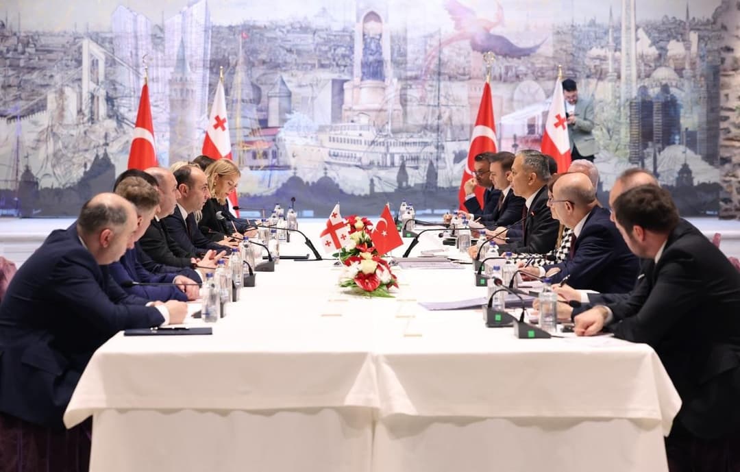გეკა გელაძემ თურქეთის რესპუბლიკის შს მინისტრთან შეხვედრა გამართა