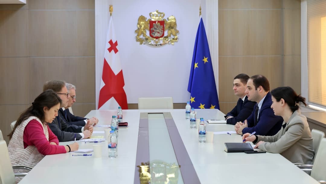 ლევან ჟორჟოლიანი საფრანგეთის ელჩს შეხვდა