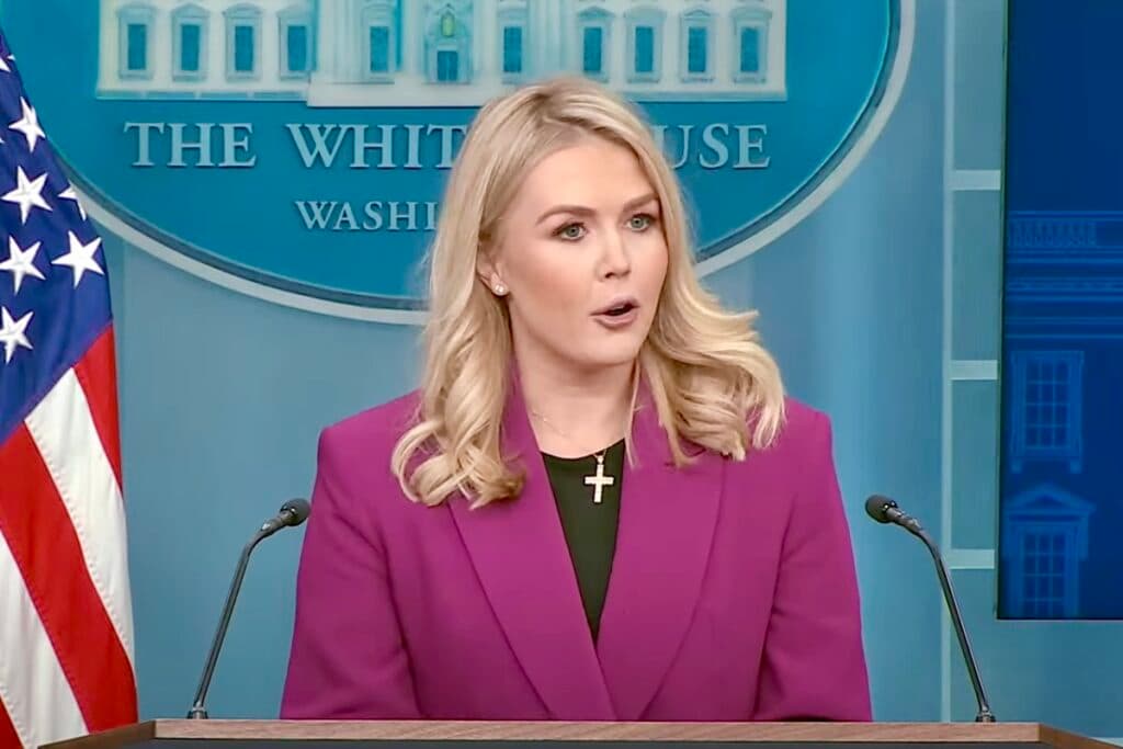 ლევიტი - დონალდ ტრამპს ვლადიმერ პუტინთან ურთიერთობის გაუარესების არ ეშინია