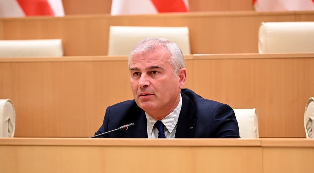 Ruling party MP criticizes Venice Commission’s ‘political bias’ in Georgia