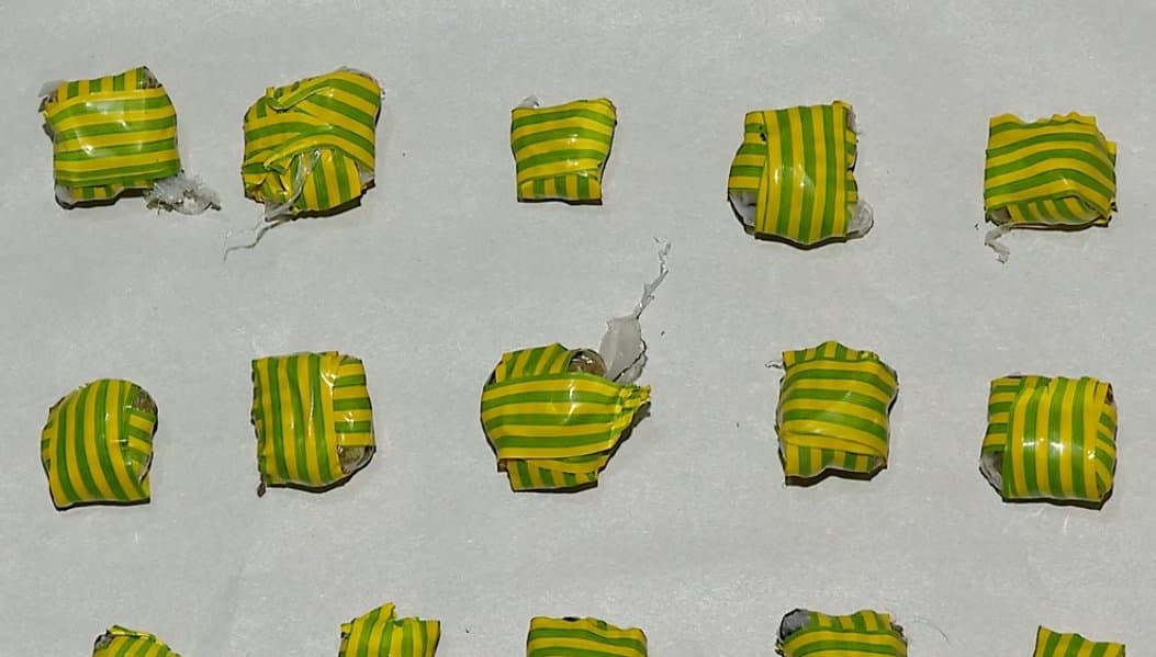 Four arrested in Tbilisi on charges of large-scale drug trafficking