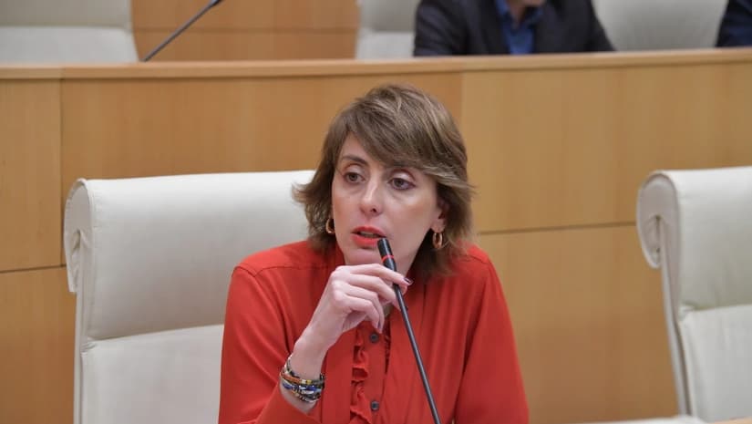 ხატია დეკანოიძე - ძალიან მართებულად აქვს ივანიშვილს კითხვის ნიშნები და კონკრეტული გაუგებრობები